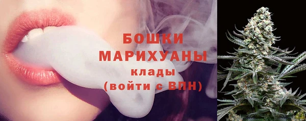 сатива Бородино