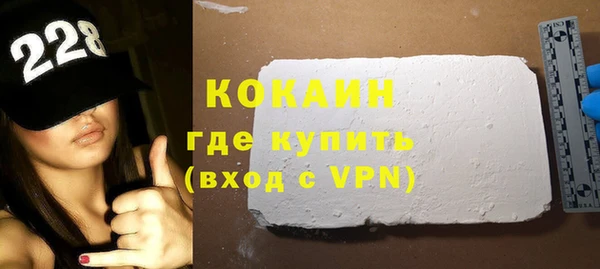 сатива Бородино