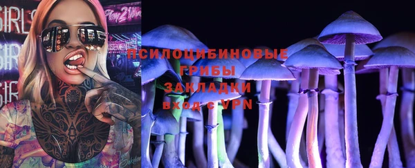 сатива Бородино