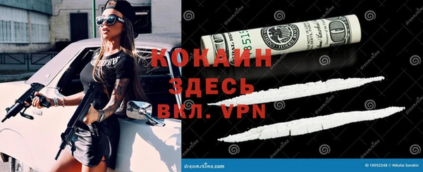 твердый Всеволожск