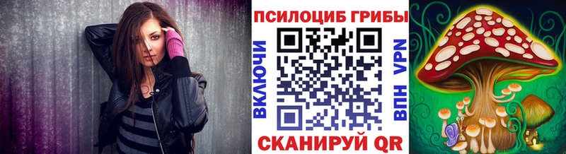 Галлюциногенные грибы Psilocybe  как найти   кракен как войти  Горнозаводск 